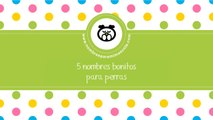 nombres bonitos para perras