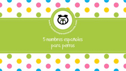 Nombres españoles para perros