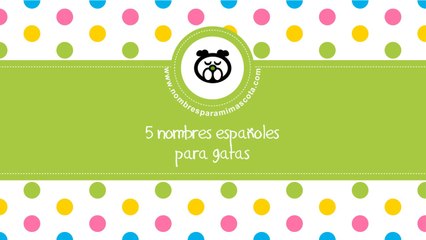 Nombres españoles para gatas