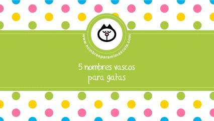 Nombres vascos para gatas