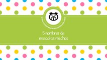 Nombres de mascotas machos