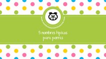 Nombres tipicos para perras - los mejores nombres para mascotas - www.nombresparamimascota.com