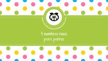 Nombres rusos para perros - los mejores nombres para mascotas - www.nombresparamimascota.com