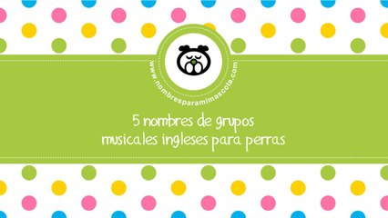 Tải video: Nombres de grupos musicales para perras - nombres para mascotas - www.nombresparamimascota.com