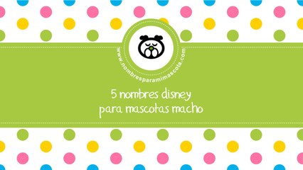 Download Video: Nombres disney de mascotas macho - los mejores nombres para mascotas - www.nombresparamimascota.com