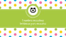 Nombres masculinos británicos - los mejores nombres para mascotas - www.nombresparamimascota.com