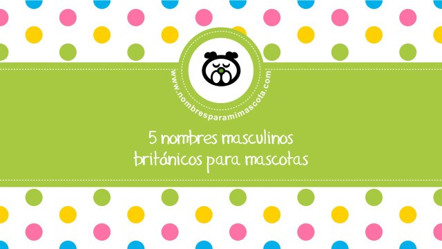 Nombres masculinos británicos - los mejores nombres para mascotas - nombresparamimascota.com