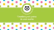 Nombres para perros de color marrón