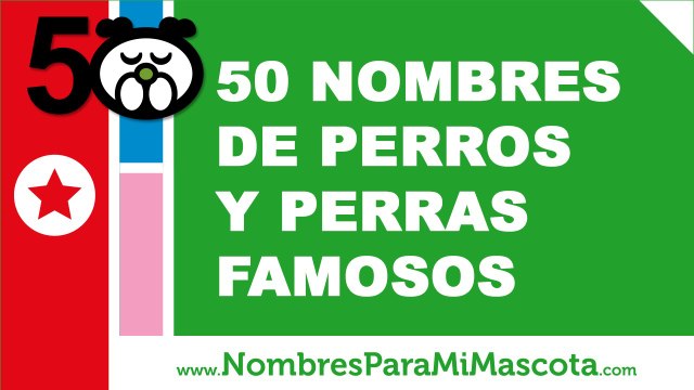 50 nombres de perros y perras famosos - los mejores nombres de perros - nombresparamimascota.com