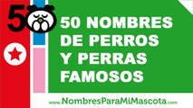50 nombres de perros y perras famosos - los mejores nombres de perros - www.nombresparamimascota.com