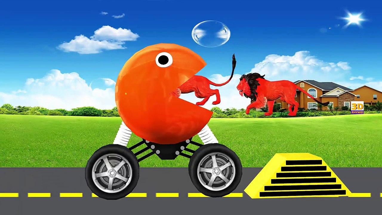 El Rey león Colores Para Que los Niños Aprendan | León de dibujos animados en 3D de Aprendizaje de los Colores para Niños Bebé Le