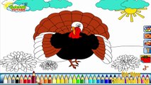 bird coloring pages : How to color turkey coloring pages , from coloring pages shosh chann