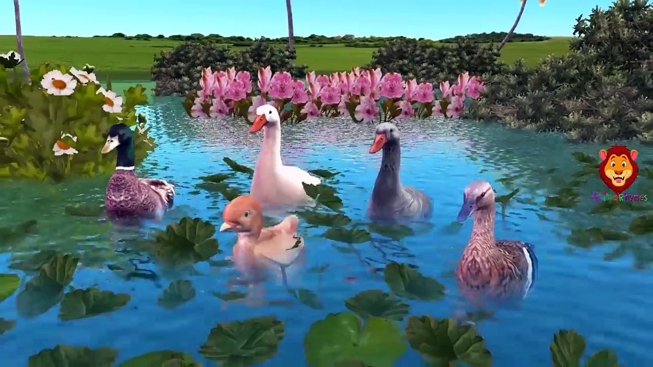 Hen Duck Ostrich Penguin And Eagle Cartoons Singing Finger Family Children Nursery Rhymes