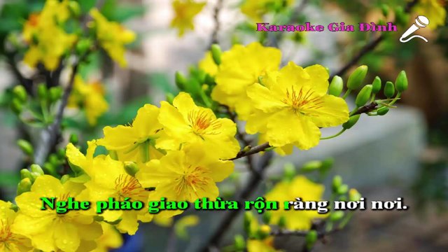 Xuân Này Con Không Về Karaoke - Beat Chuẩn (Quang Lê)
