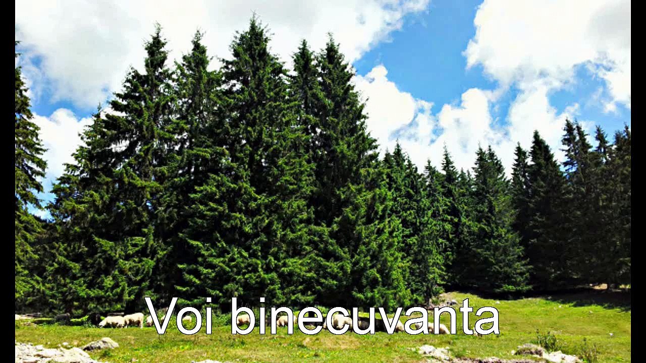 Corul Barbatesc Voitinel - Voi binecuvanta