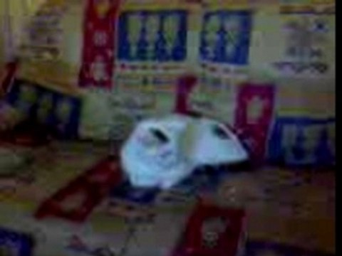 tupac dit vous me faites chier!!!