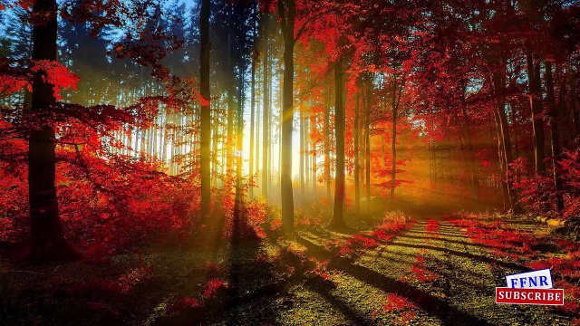 Kinder Joy Surprise Eggs Learning Street Vehicles Names For Kids Children Toddlers Nursery