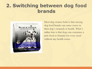 Dog Food Brands: Vet Dog Food
