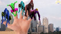 Superheroes Spiderman Hulk Vs Animals Shark Gorilla King Kong Dinosaurs Finger Family Nurs