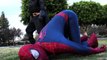 Spiderman vs Batman SUMO BATTLE! EPIC Funny Superhero Movie in Real Life Marvel Spiderman