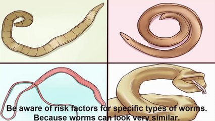 How to Identify Different worms in dogs