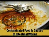 8 Home Remedies For Intestinal Worms