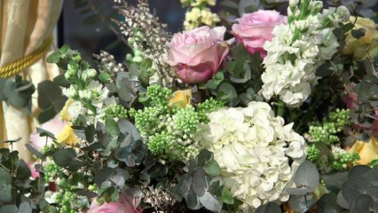 Beauty And The Beast - Exclusive UK Launch Event