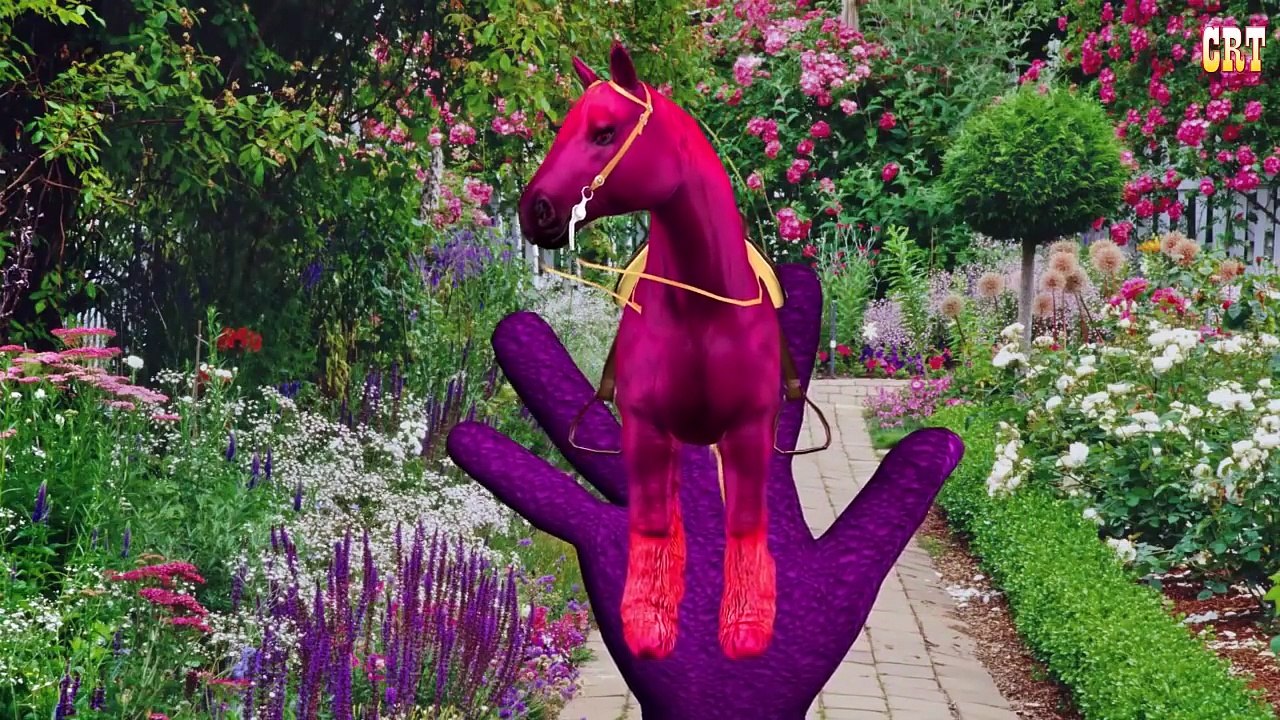 Horse Finger Family Nursery Rhymes For Kids Rhymes | Top Animals Cartoons Finger Family Co