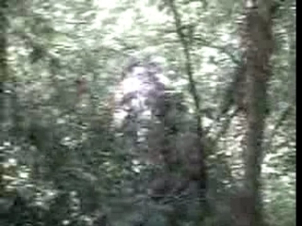 Airsoft - 16/09/2007
