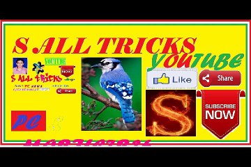 ''122 Years'' Old 1000 Rupee indian note by Government of India