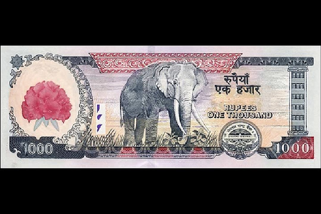 1000 Rupay Nepali note collections
