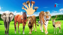 Animals Cartoons Finger Family Children Nursery Rhymes | Animals Finger Family Rhymes for