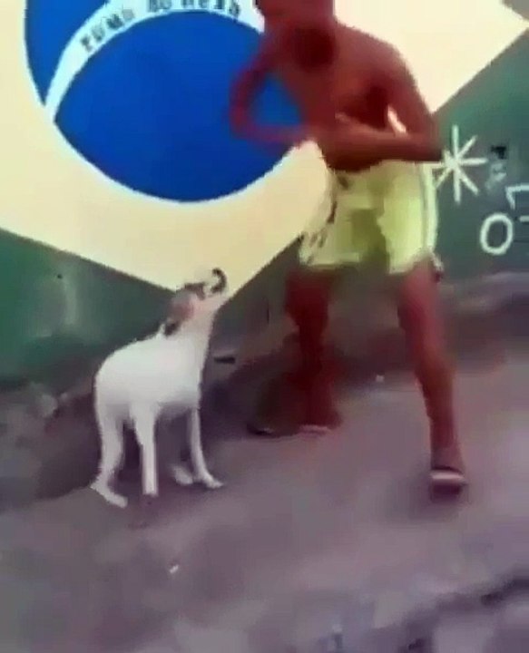 Dog vs Man Funny Dance