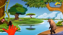 Crazy Gorilla, Lion, Tiger, Bear, Cheetah Nursery Rhymes | 3D Animation Rhyme For Collecti