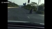Motorcyclist trying to show off riding skills falls off bike