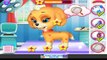 My Cute Little Pet Puppy - Kids Learn to Take Care of Cute Puppy - Gameiva Game for Kids