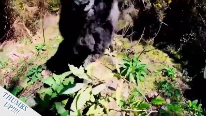 Herkes Çıldırmış Amk  2017'nin Sizi Çileden Çıkaracak En Rezil Kamera Kazaları Drone Kazaları