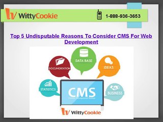 Top 5 Undisputable Reasons To Consider CMS Website Development Services