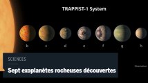 Que sait-on des sept nouvelles exoplanètes découvertes, dont certaines sont semblables à la Terre ?
