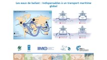 GloBallast : la mise en place d'une convention contre le transfert d'espèces invasives via les eaux de ballast