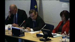 Commission des affaires européennes du 14 février 2017 (3)