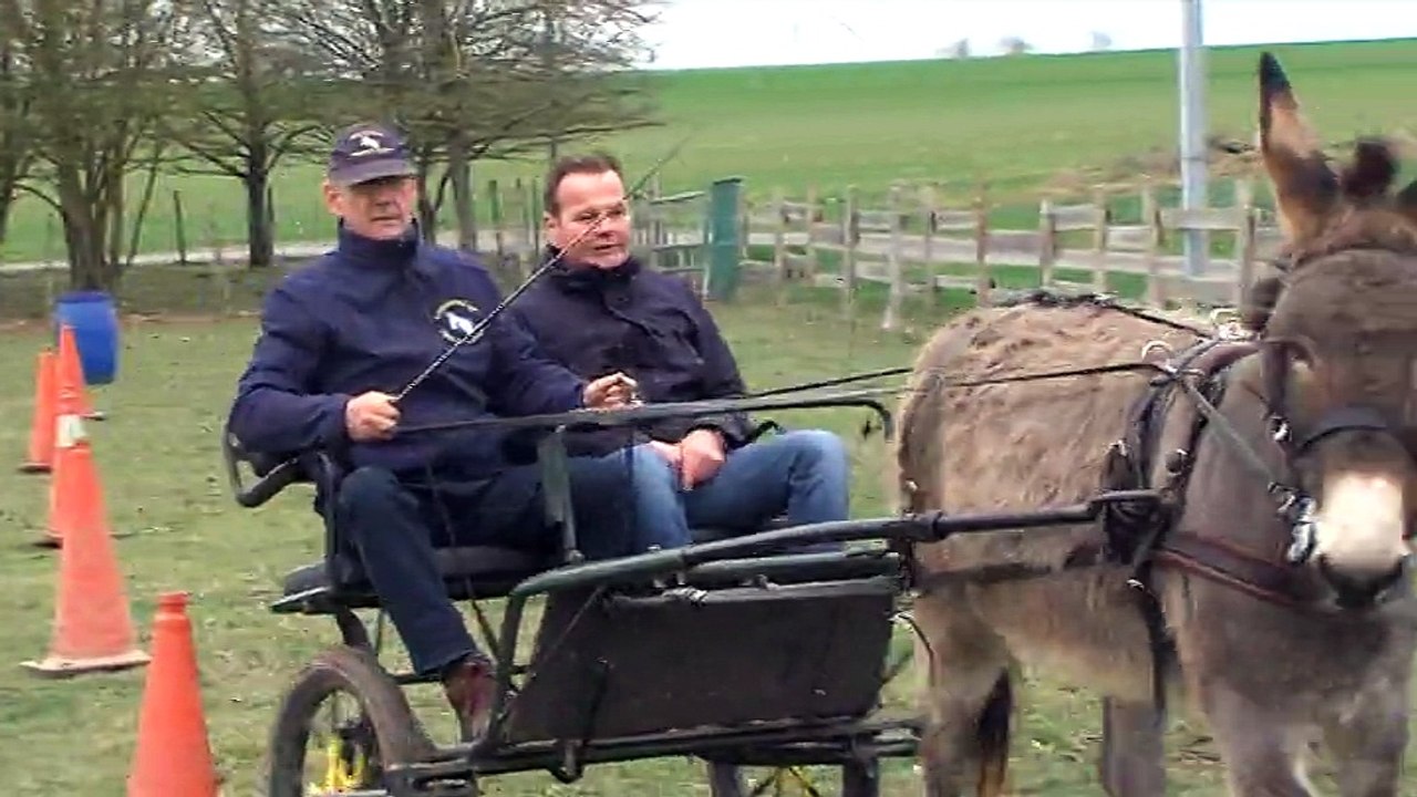 FOCUS/ L'âne Ugolin veut briller au salon de l'agriculture