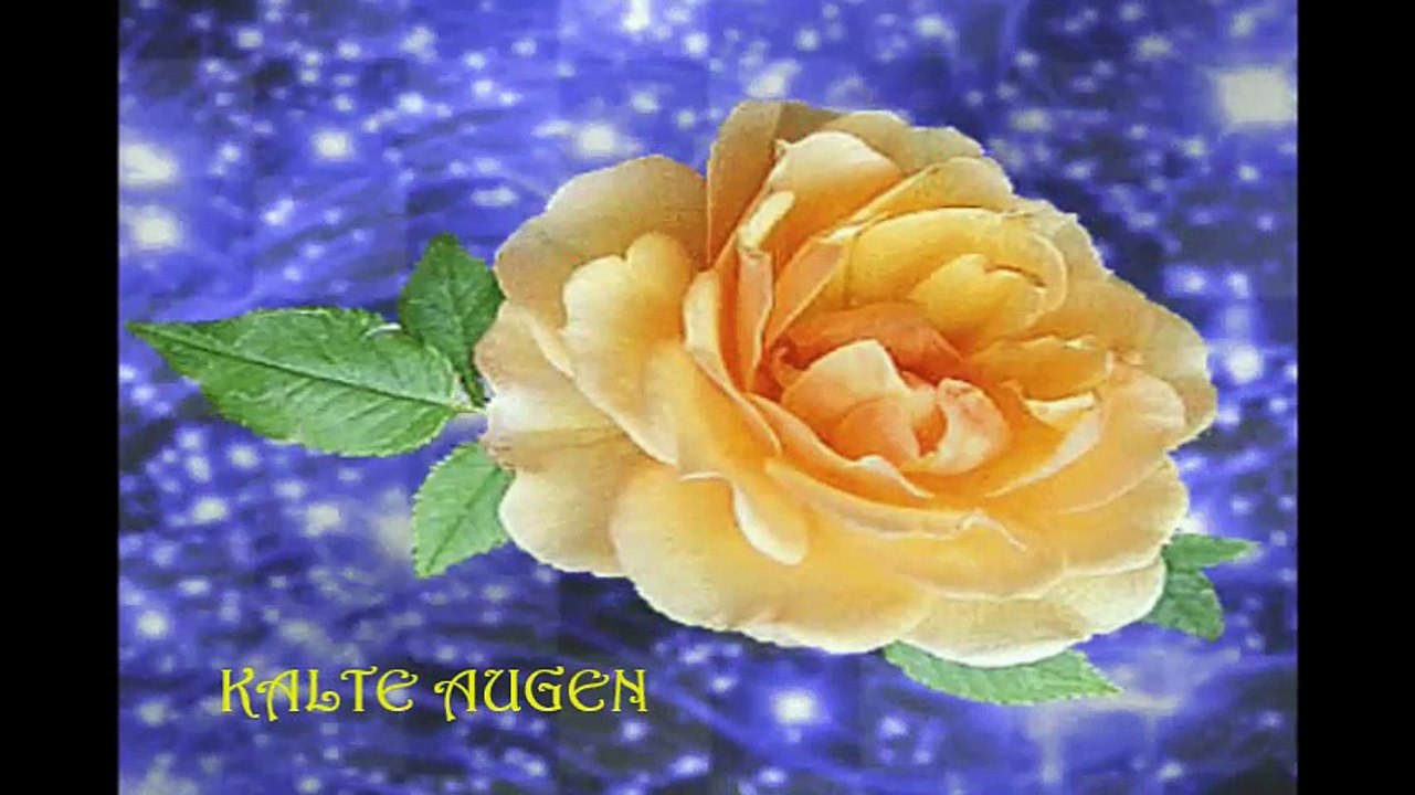 Ralf Bursy - Kalte Augen