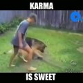 karma is sweet | funny clips 2017 | enjoy