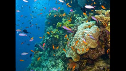 Protect Environment by updating Latest Environmental news