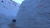 Hakkari Yüksekova'da Çığ Yolları Kapattı