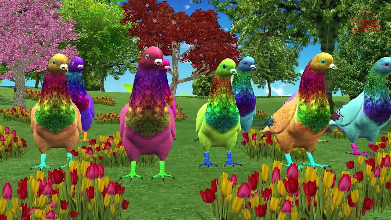 Sonidos De Pájaros, Rimas Infantiles, Aves, Sonidos Para Bebés Y Niños