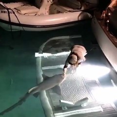 Köpek balığı seven çılgın kadın