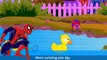 Five Little Ducks - Spring Songs for Children - Nursery Rhymes - By The Learning Station