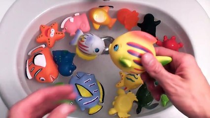 Descargar video: Baby Toys Bath Time Learning Sea Animals Names and sounds - Dori & Nemo Shark Video For Ch